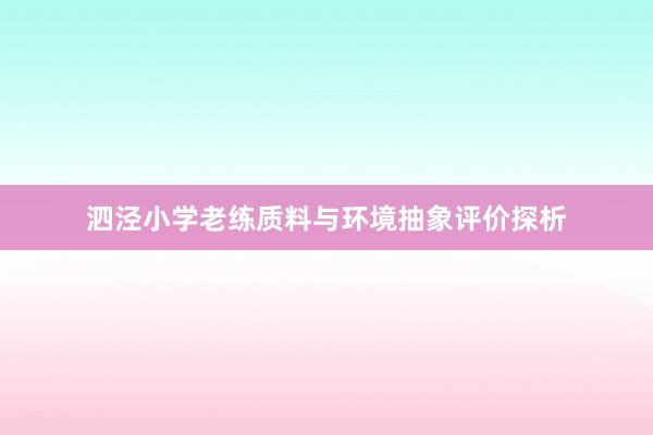 泗泾小学老练质料与环境抽象评价探析